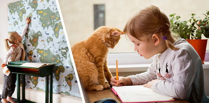 Animal ideas for the return to school