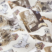 Licensed fabrics