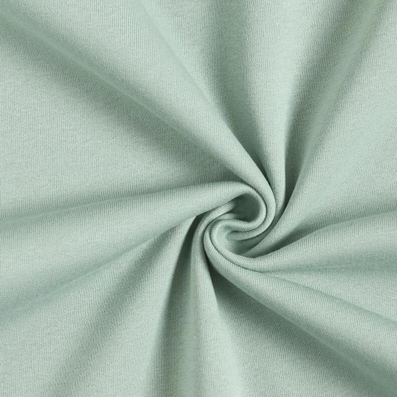 Brushed Sweatshirt Fabric plain Lurex – reed/silver,  image number 1