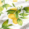 Decor Fabric Panama lemons – white/lemon yellow,  thumbnail number 2