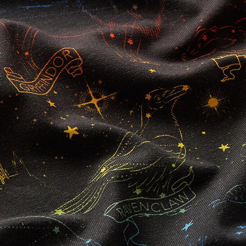Cotton Jersey Licensed Fabric Heraldic animal constellations of Harry Potter | Warner Bros. – black,  image number 2