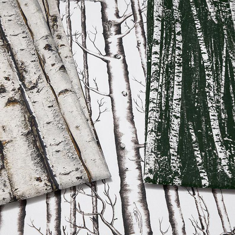 Decor Fabric Half Panama birch trunks – light grey,  image number 5