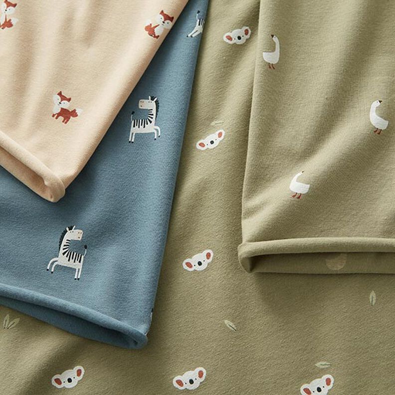 Cotton Jersey Koala Heads – pistachio,  image number 5