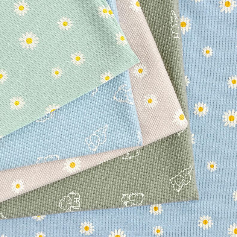 Waffle Jersey Ox-eye daisies – pale mint, image number 5