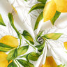 Decor Fabric Panama lemons – white/lemon yellow,  thumbnail number 3