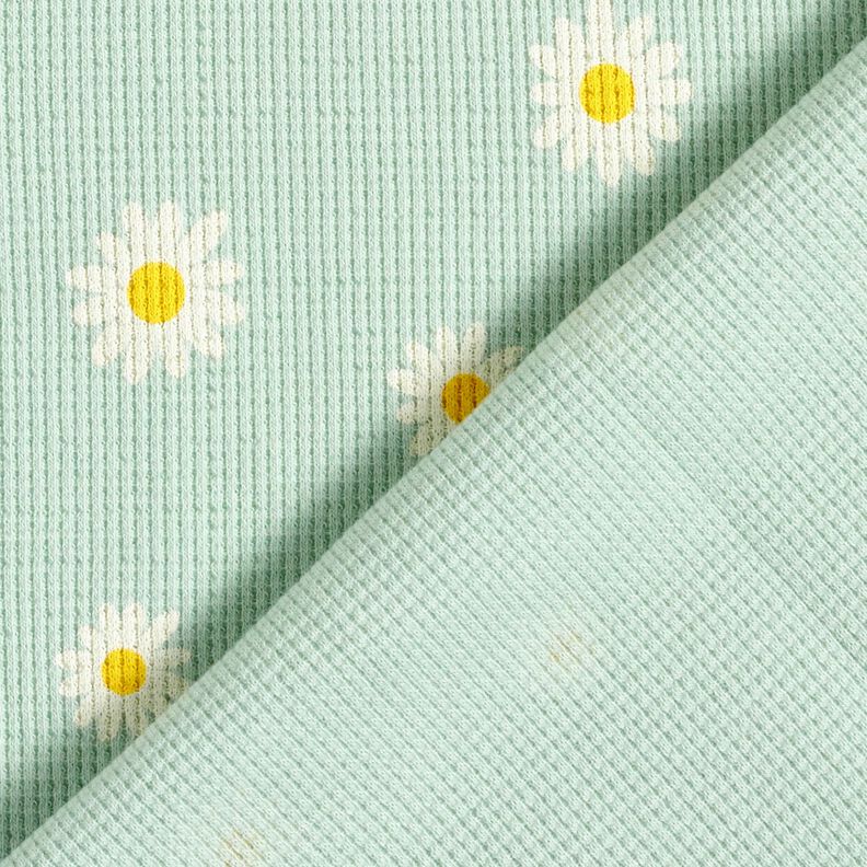 Waffle Jersey Ox-eye daisies – pale mint, image number 4