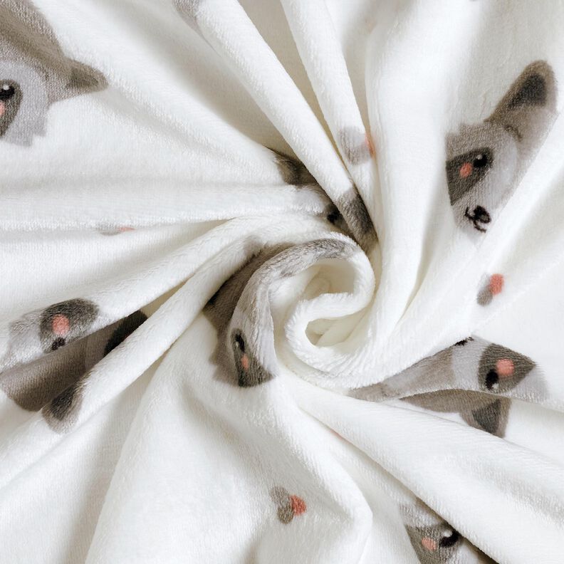 Cosy Fleece cute raccoons – ivory/dark grey, image number 3