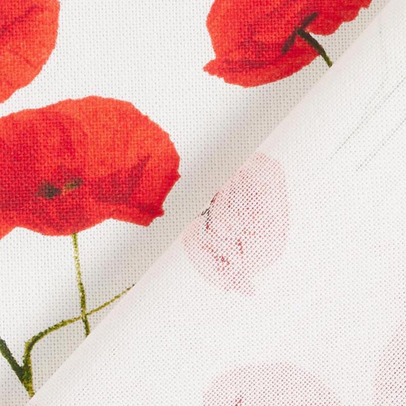 Decor Fabric Half Panama poppies – white/red,  image number 4