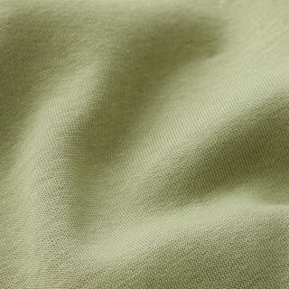 Brushed Sweatshirt Fabric – pistachio, 