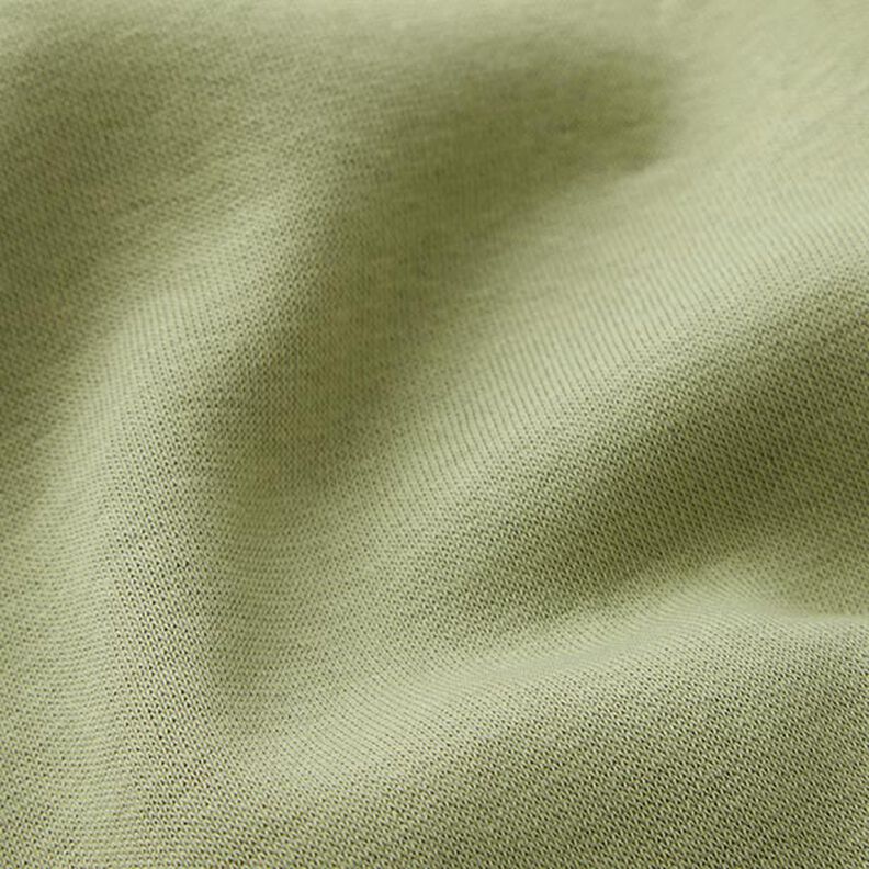 Brushed Sweatshirt Fabric – pistachio,  image number 3