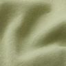 Brushed Sweatshirt Fabric – pistachio,  thumbnail number 3