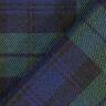 Stretch Tartan – navy/green,  thumbnail number 3