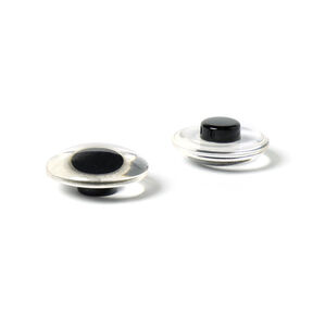 Animal eye 10, 