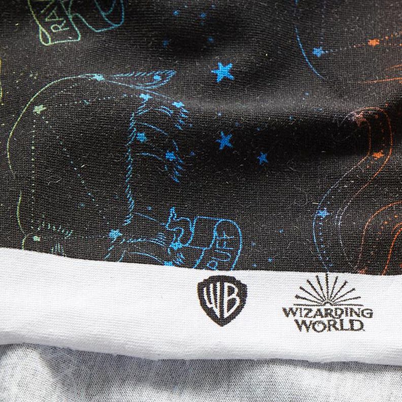 Cotton Jersey Licensed Fabric Heraldic animal constellations of Harry Potter | Warner Bros. – black,  image number 7