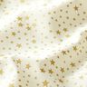 Cotton Cretonne Starry Christmas Sky, small – white,  thumbnail number 2