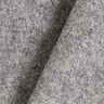 Fulled woollen loden – grey,  thumbnail number 3