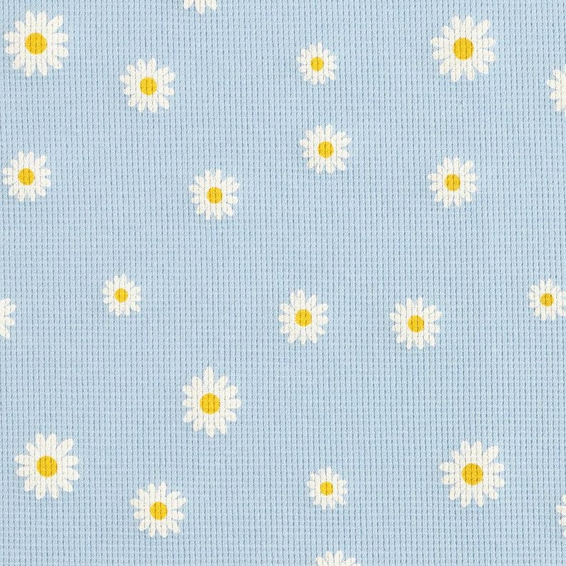 Waffle Jersey Ox-eye daisies – silver blue,  image number 1