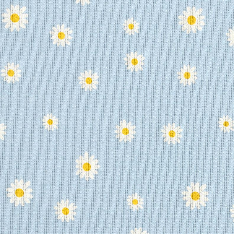 Waffle Jersey Ox-eye daisies – silver blue, image number 1