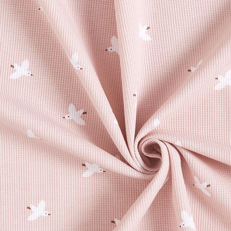Waffle Jersey Birds | by Poppy – rosé, image number 4