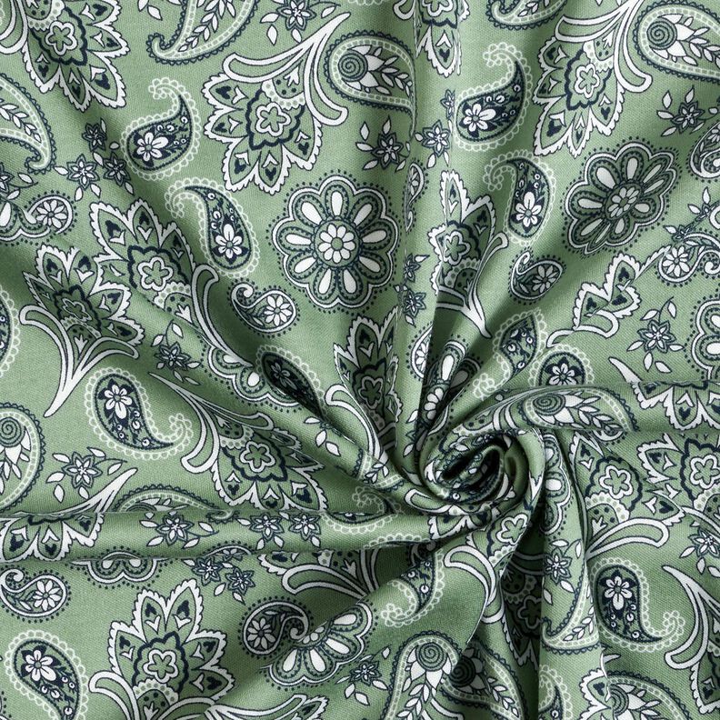 Cotton Jersey Paisley – reed/white,  image number 3