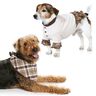 Dog Coat, Burda 7752,  thumbnail number 4