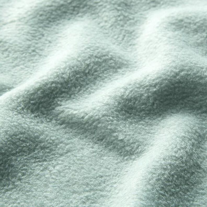 Anti-Pilling Fleece – reed,  image number 2