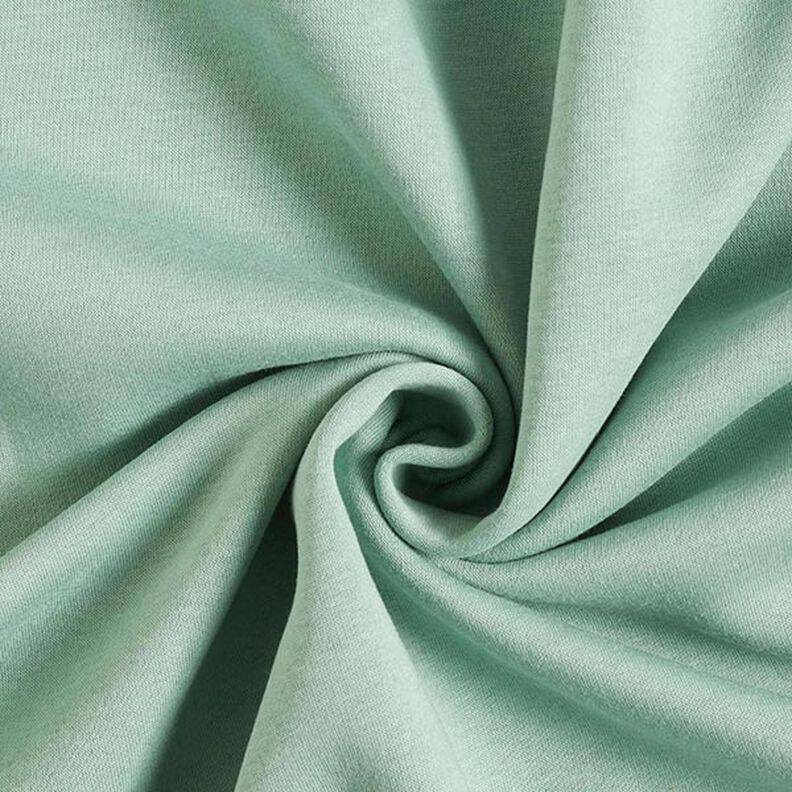 Brushed Sweatshirt Fabric – reed, image number 1