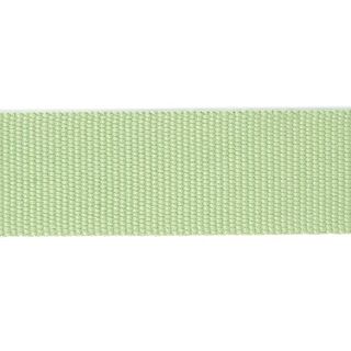 Bag Strap Webbing Basic - light green, 