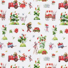 Cotton Poplin Strawberry harvest Digital Print – white, 
