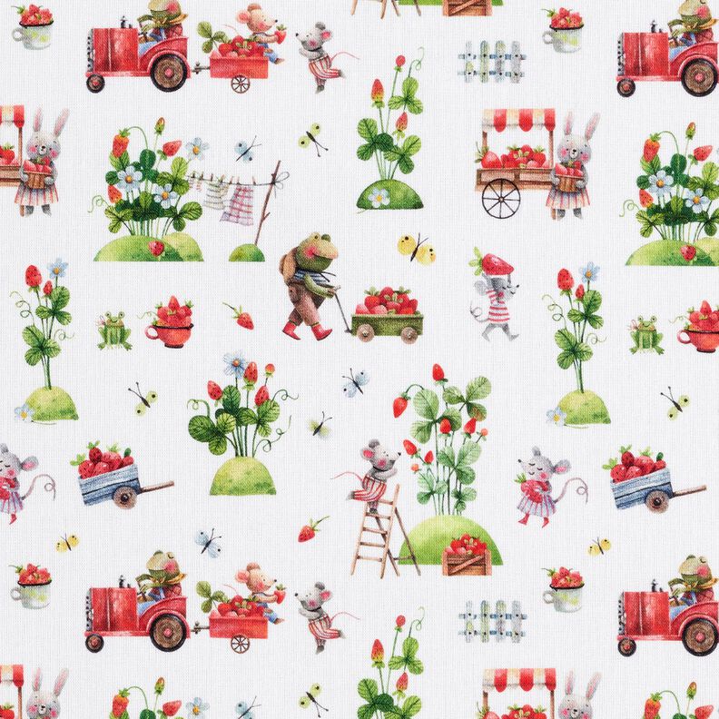 Cotton Poplin Strawberry harvest Digital Print – white,  image number 1