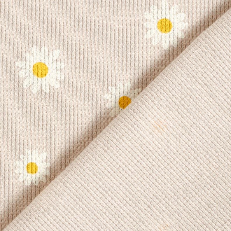 Waffle Jersey Ox-eye daisies – natural,  image number 4