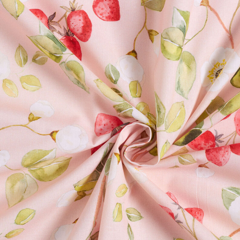 Cotton Poplin Strawberry blossoms – rosé/red,  image number 3
