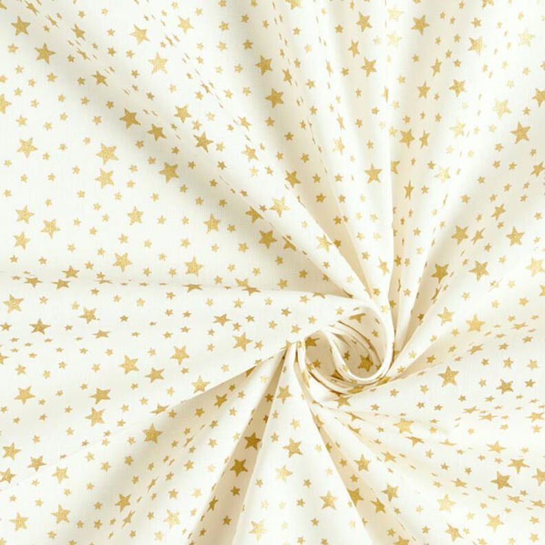 Cotton Cretonne Starry Christmas Sky, small – white,  image number 4