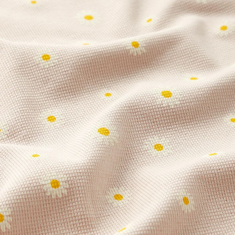 Waffle Jersey Ox-eye daisies – natural, image number 2