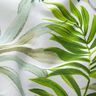 Decorative fabric Canvas Exotic leaves – green/white,  thumbnail number 2