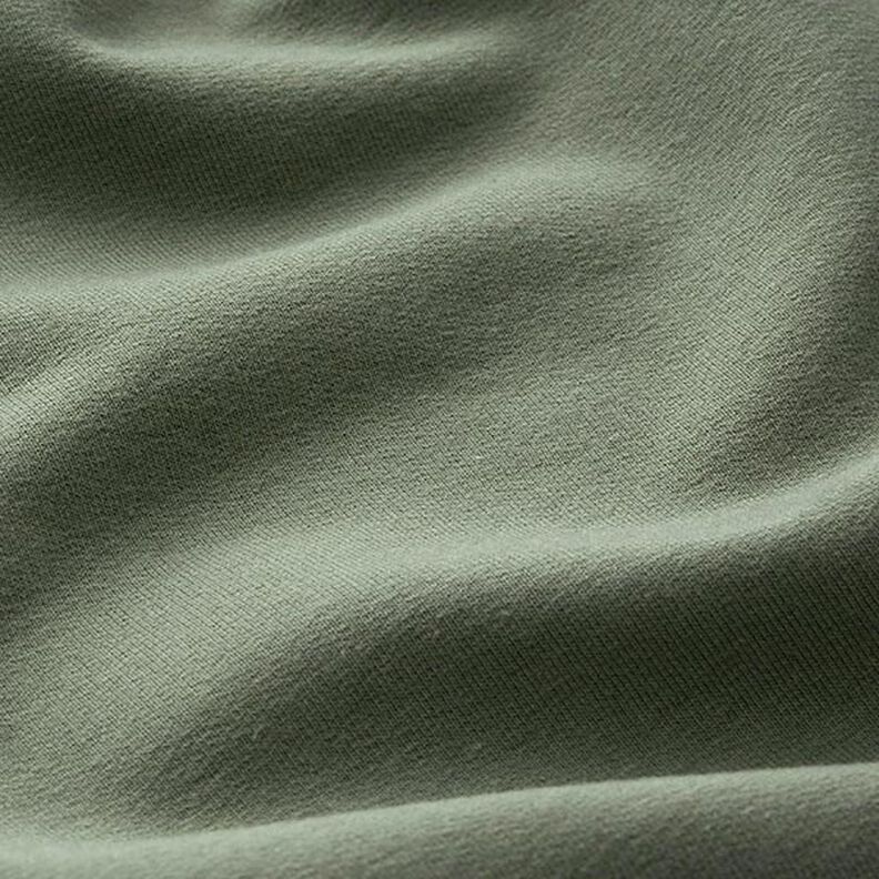 Light French Terry Plain – pine,  image number 4