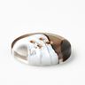 4-hole button horn look [Ø 20 mm] – mocca,  thumbnail number 3