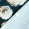 Cotton Jersey dandelions Border Fabric | Glitzerpüppi – blue-black/almond,  thumbnail number 4