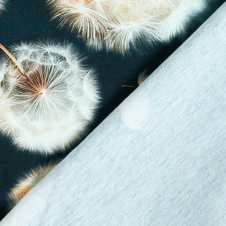 Cotton Jersey dandelions Border Fabric | Glitzerpüppi – blue-black/almond, image number 4
