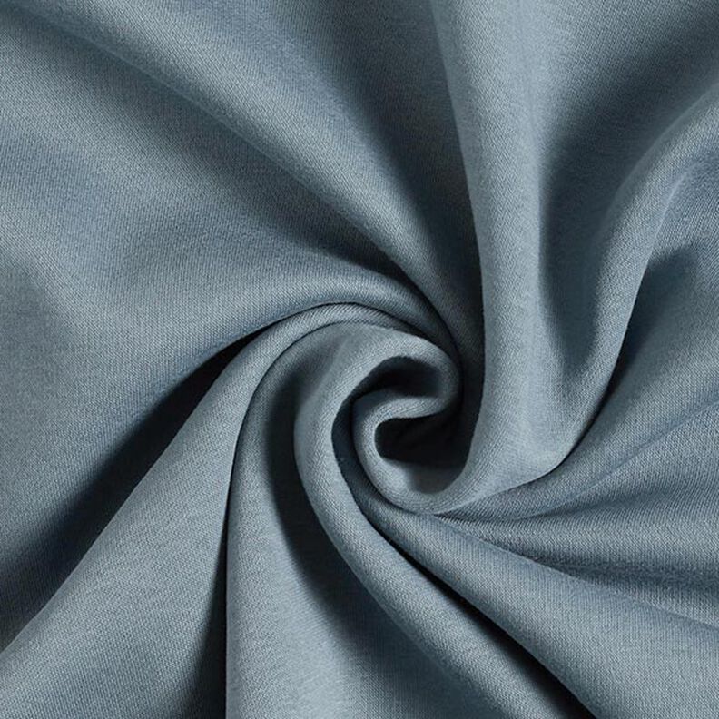 Brushed Sweatshirt Fabric – dove blue,  image number 1
