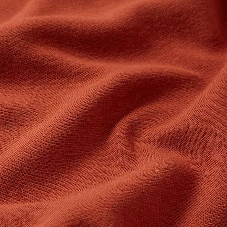 Alpine Fleece Comfy Sweatshirt Plain – terracotta,  image number 3