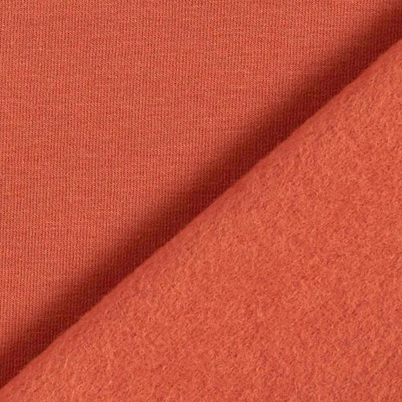 Light Cotton Sweatshirt Fabric Plain – terracotta,  image number 5