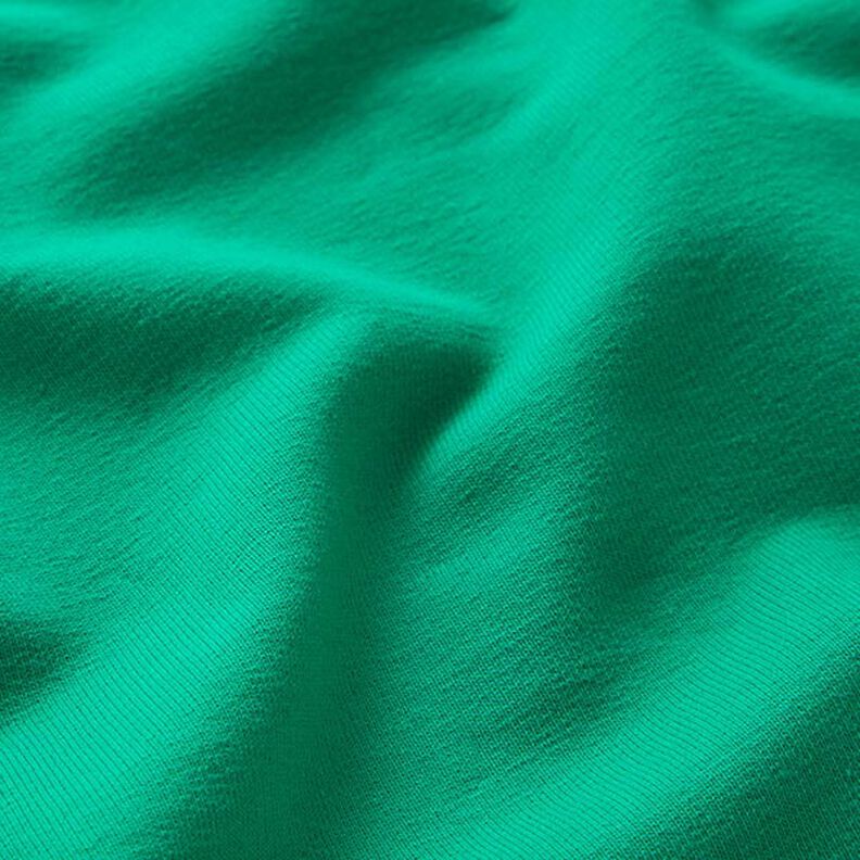 Light French Terry Plain – green,  image number 3