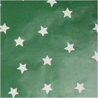 Gift Paper Stars | Rico Design – green, 