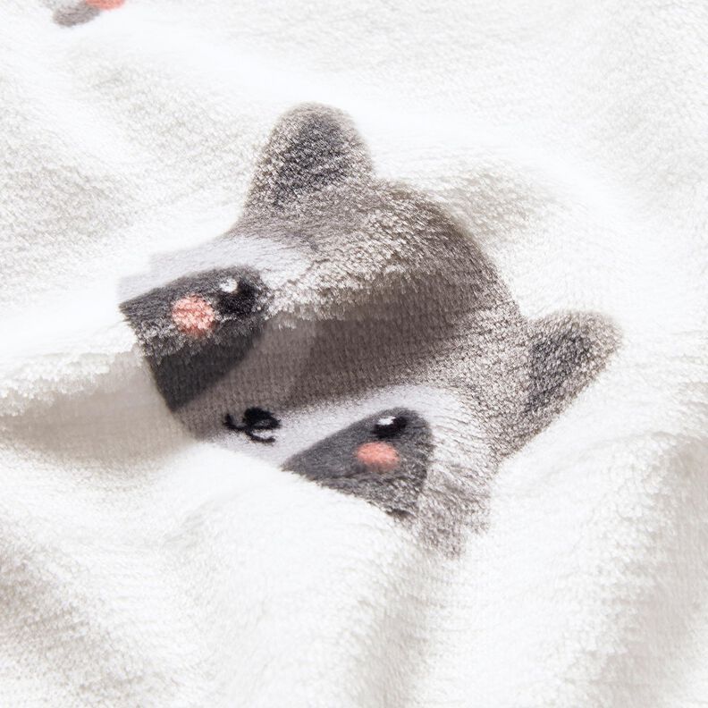 Cosy Fleece cute raccoons – ivory/dark grey, image number 5