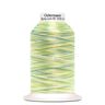 Bulk thread Bulky-Lock 80 [9963] | 1000 m | Gütermann – green,  thumbnail number 1