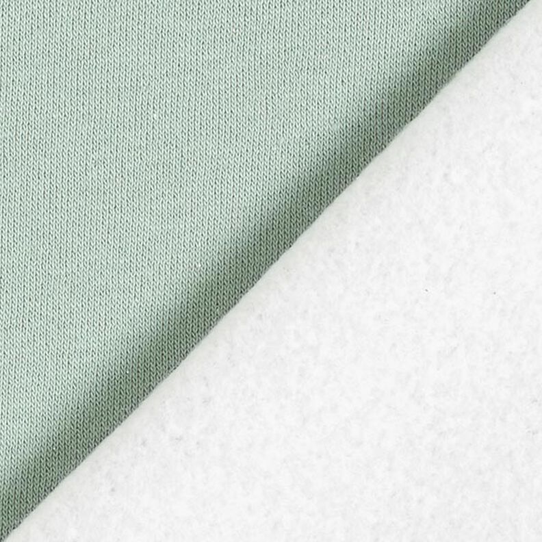 Brushed Sweatshirt Fabric plain Lurex – reed/silver,  image number 4
