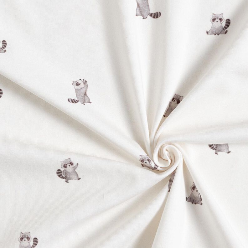 GOTS Cotton Jersey cute raccoons Digital Print – ivory, image number 3