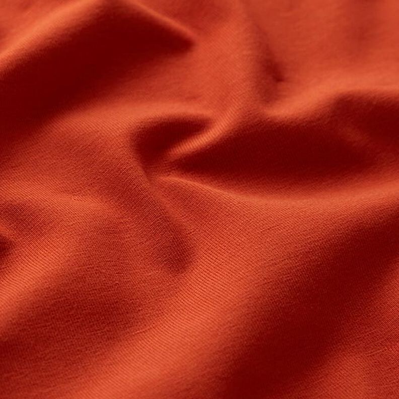 GOTS Cotton Jersey | Tula – terracotta,  image number 2