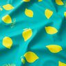 Raincoat Fabric lemons – peppermint/lemon yellow,  thumbnail number 3